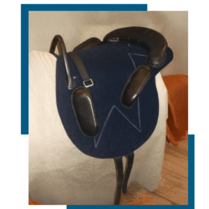 Bardette KINDY chevaux